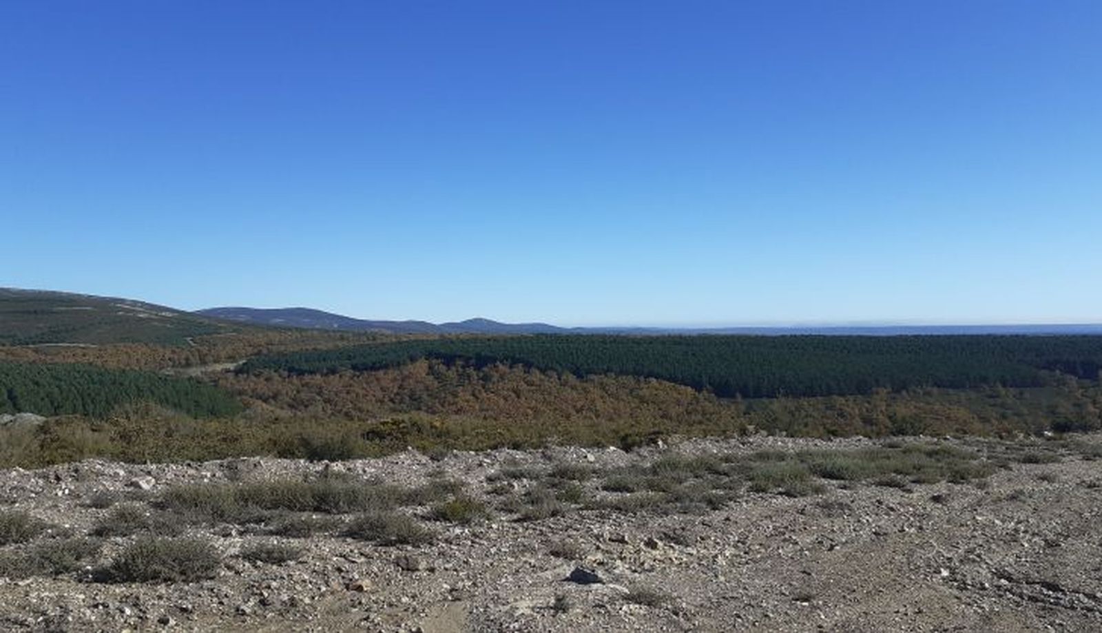 PAISAJE ENTRE JUSTEL Y MUELAS