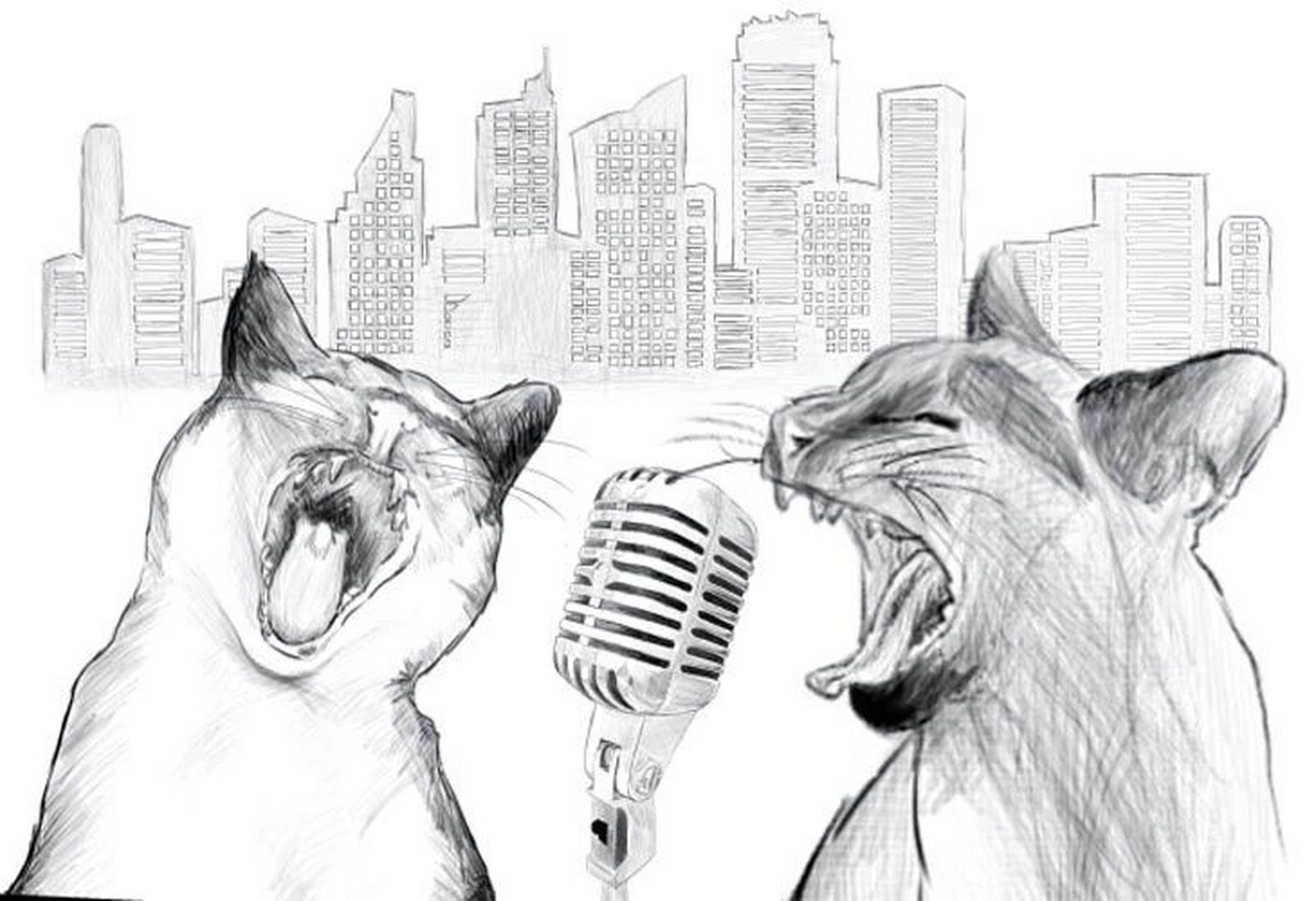 Defensa Animal Zamora organiza el III Concierto ‘Rock & Roll por los gatos de la calle’