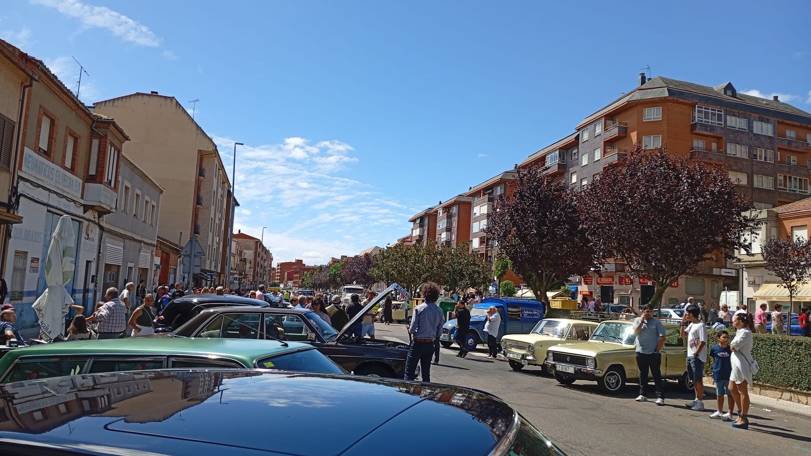 Concentración Vehículos Clásicos Benavente (3).jpeg