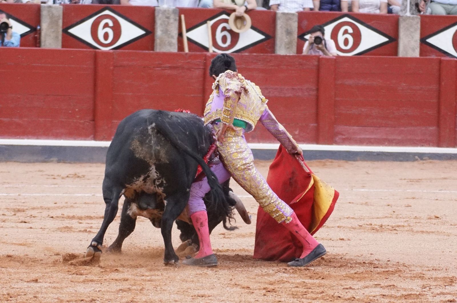 fafa8ca4-44e6-4781-a650-ffd2e4e96941