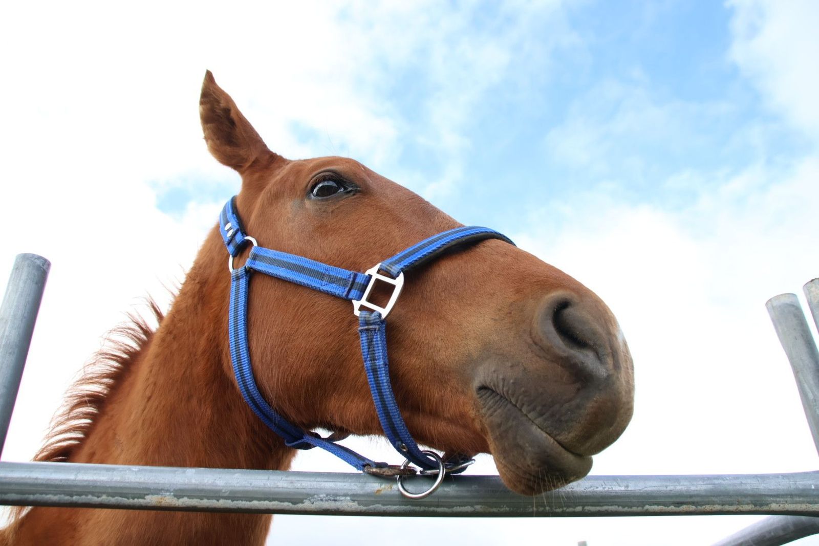 20240501103322-img-2916