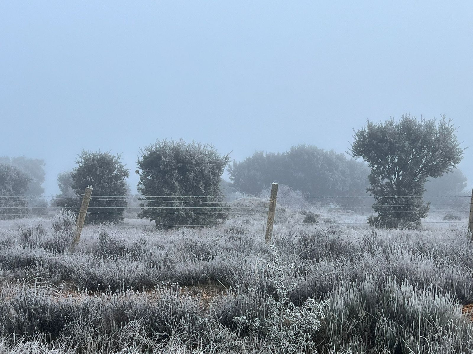 whatsapp-image-2025-02-06-at-09-37-49