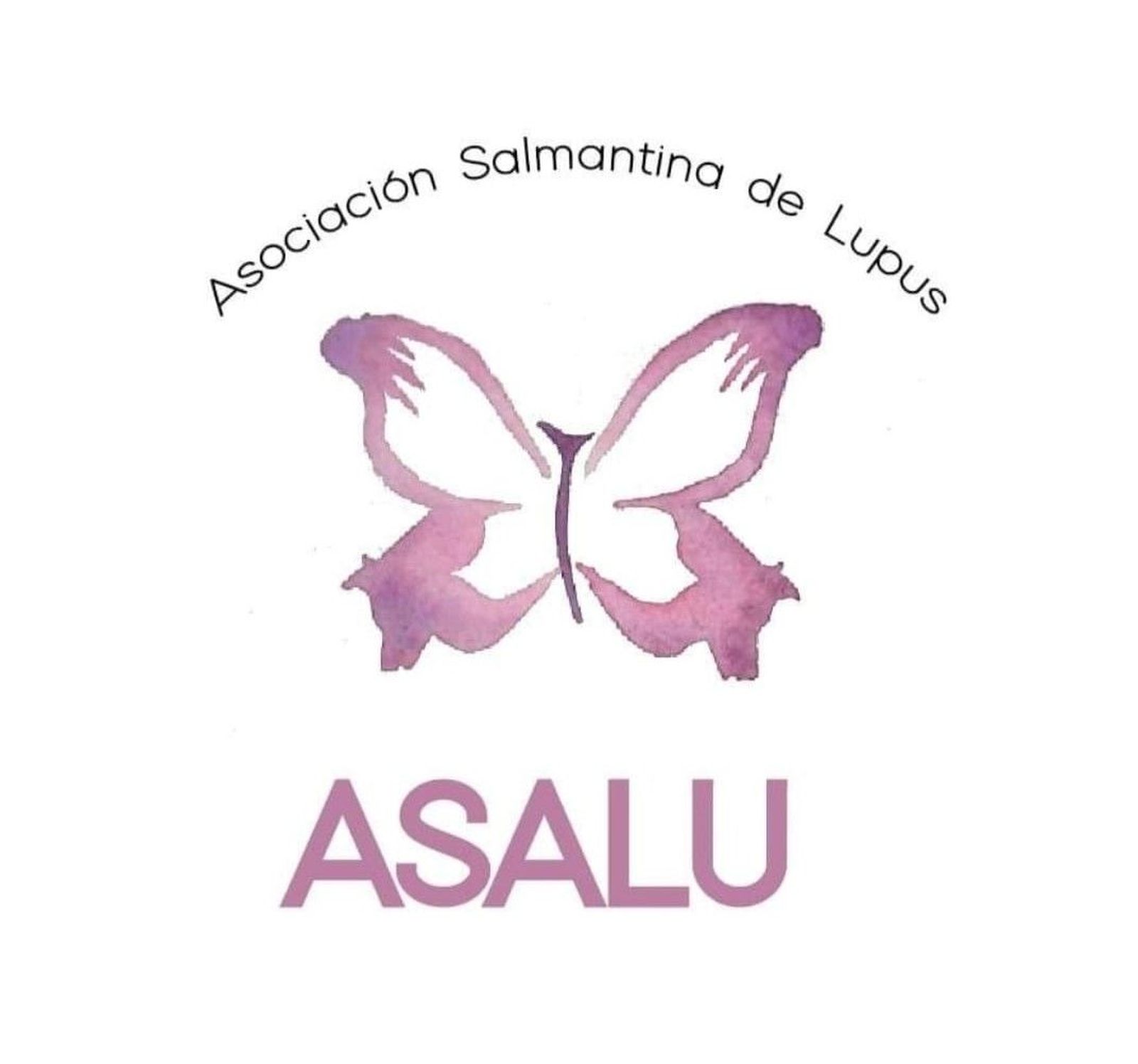 WhatsApp Image 2023 05 05 at 18.38.26