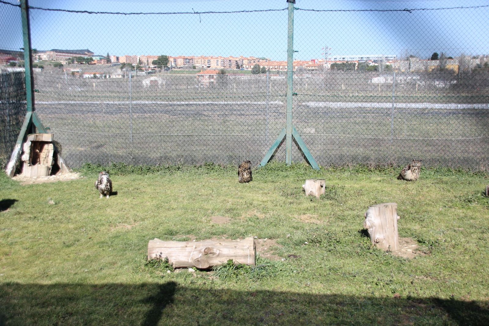 20230304152923-img-1690