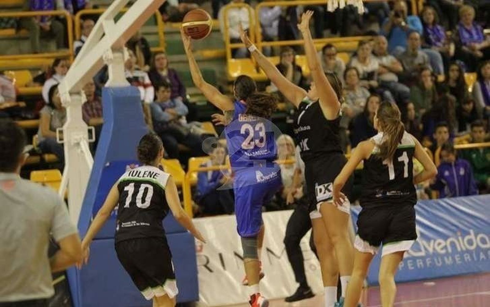 Perfumerías Avenida se medirá a Gipuzkoa en la Supercopa de España