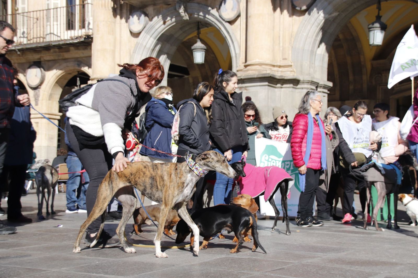 20230205122432-mg-5751