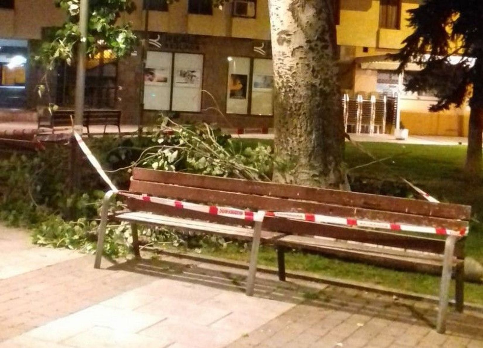 WhatsApp Image 2019 06 27 at 09.56.45