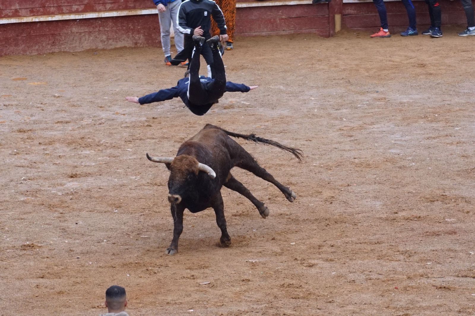 whatsapp-image-2024-02-11-at-14-02-05-1