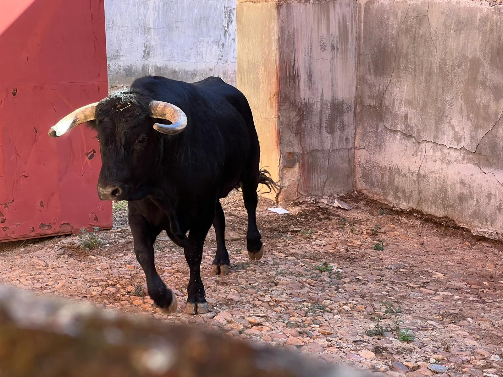 whatsapp-image-2022-09-21-at-12-14-09-pm