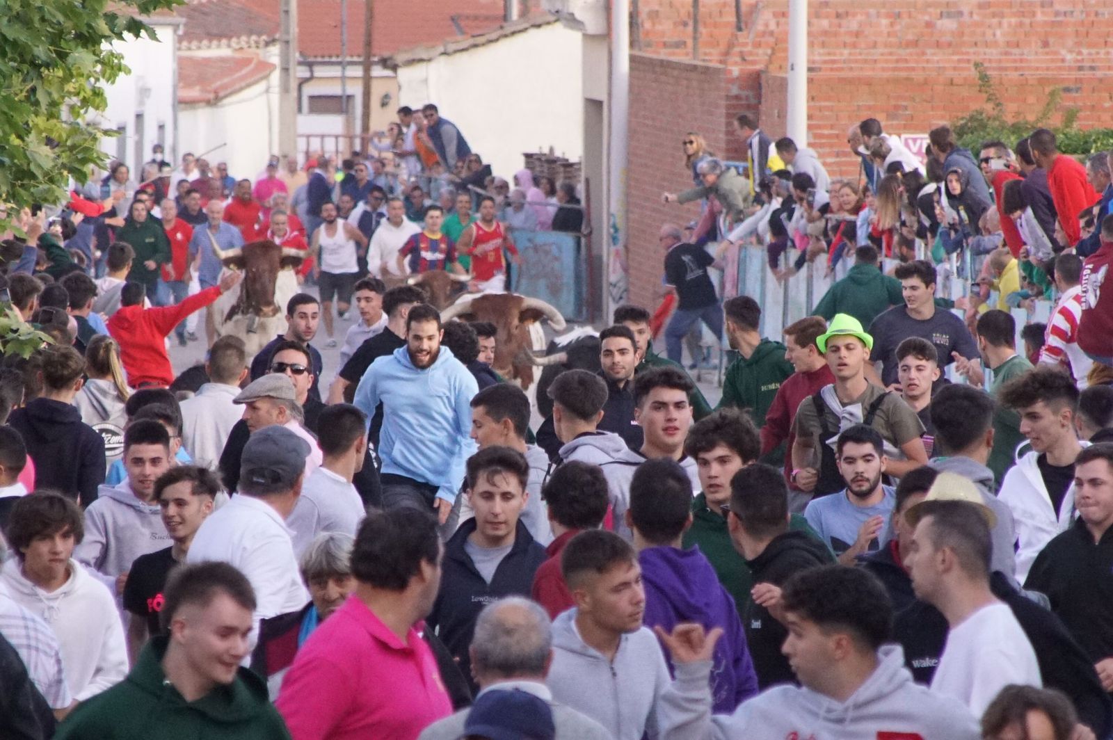 0a834525-9e2f-4ad3-ac53-3b67a0e4b7a3