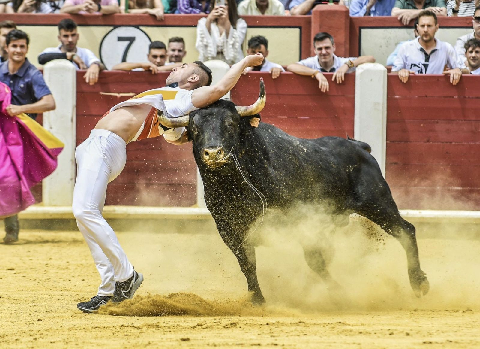 Zamora se prepara para vivir este domingo el mejor concurso de cortes de los últimos años Zamora se prepara para vivir este domingo el mejor concurso de cortes de los últimos años