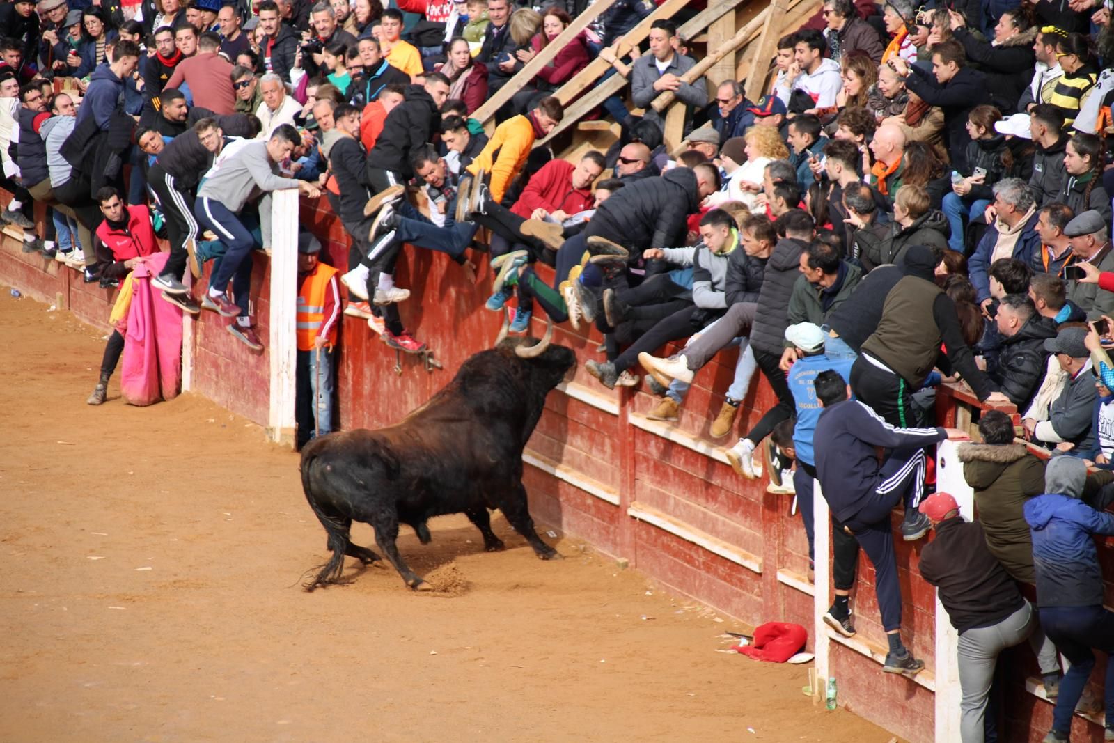 capea-matutina-del-martes-de-carnaval-4