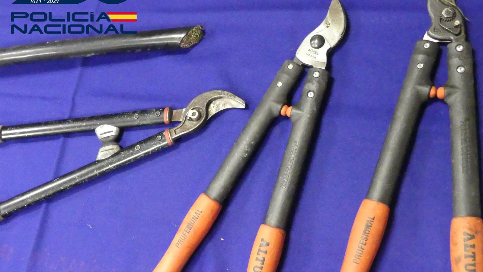 Tijeras intervenidas