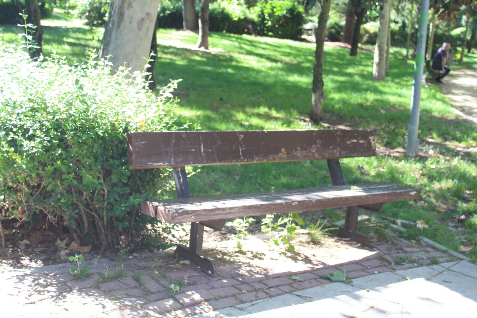 whatsapp-image-2024-07-02-at-11-30-14