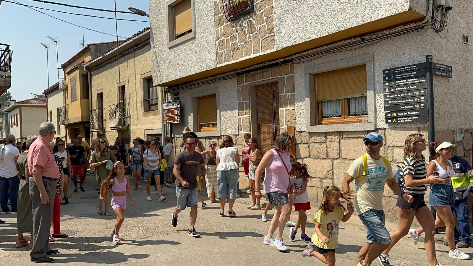 Mini bueyes en Aldeadávila