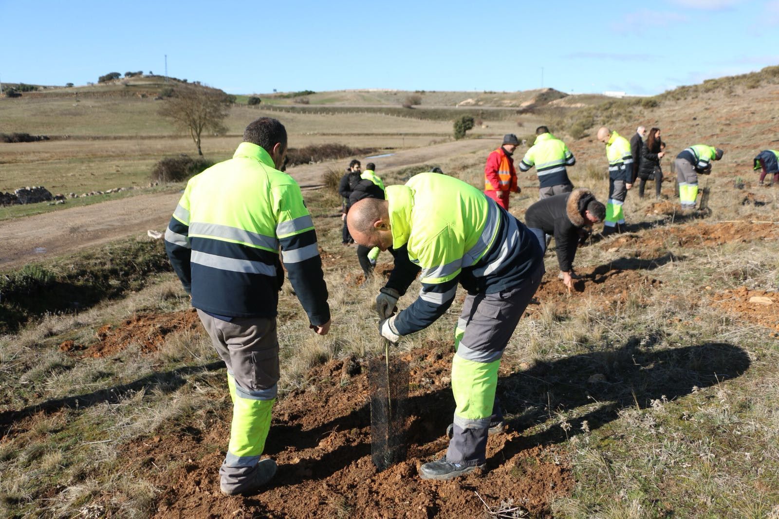 Aquona reforesta (2) Aquona reforesta (2)
