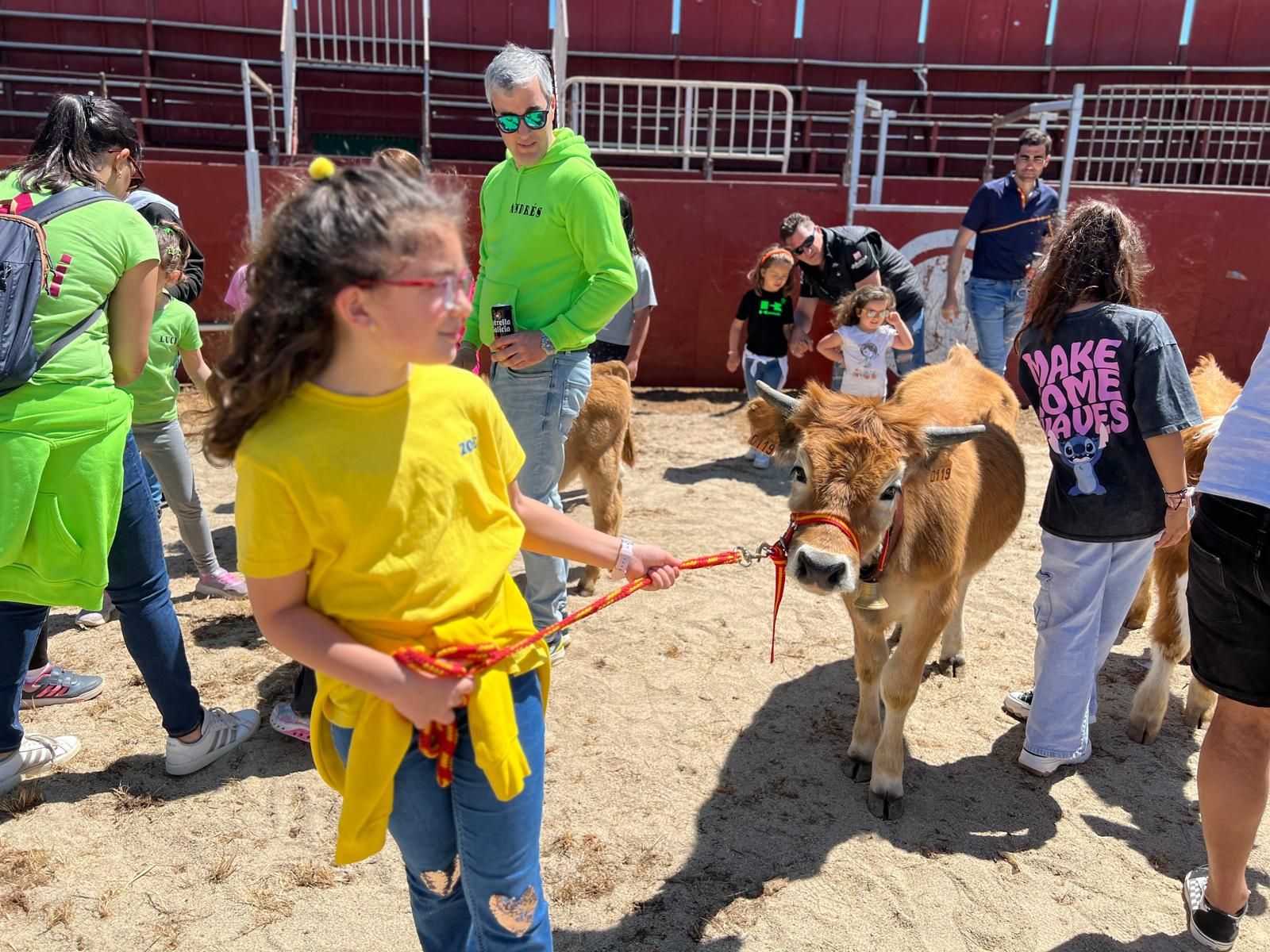 mini-bueyes-en-elas-fiestas-de-doninos-2025-3