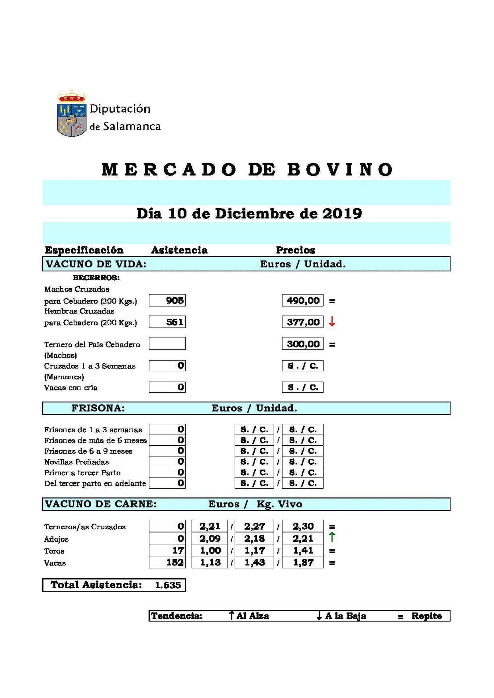 Mercado10deDiciembre.pdf 1