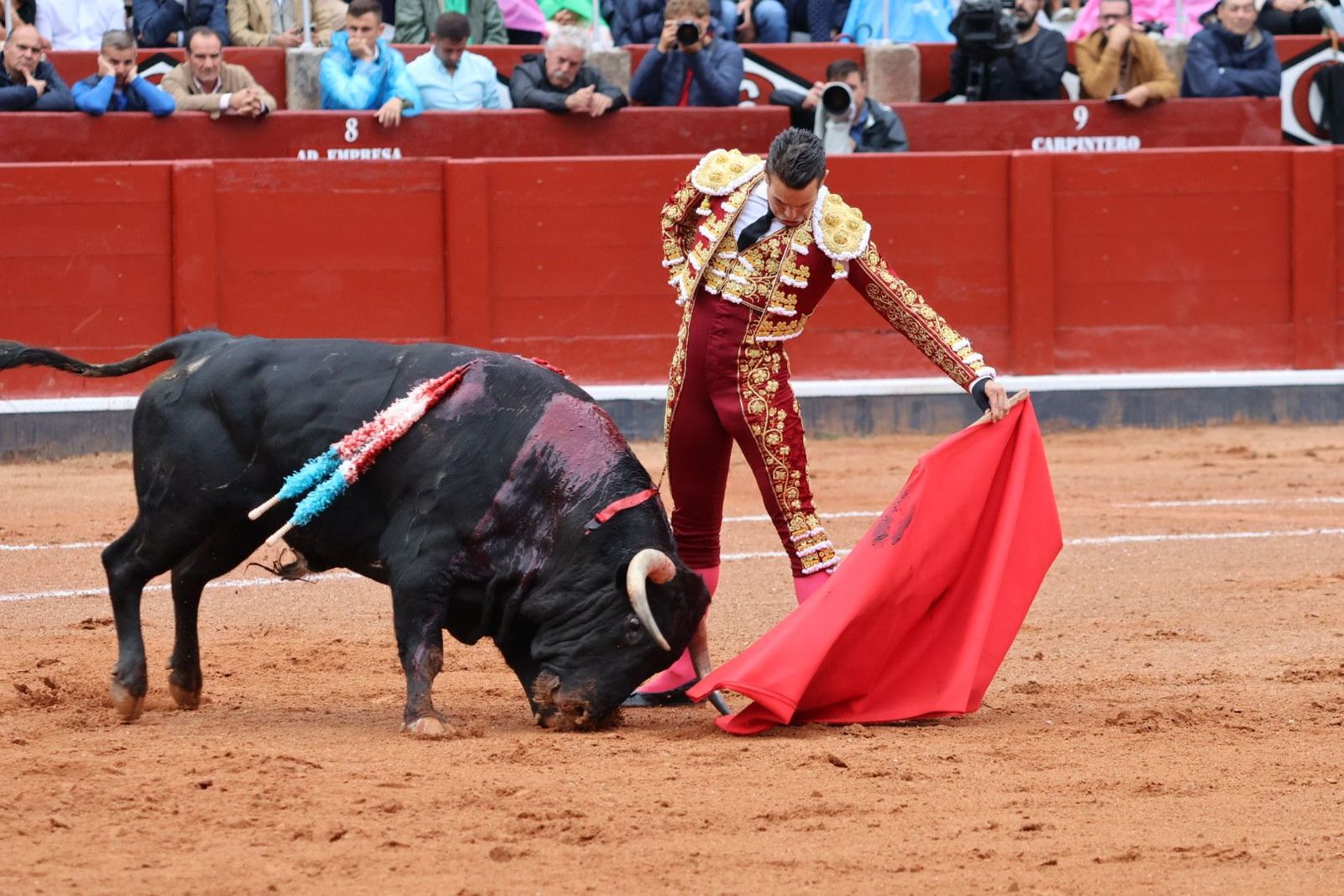 20230916173818-img-5304