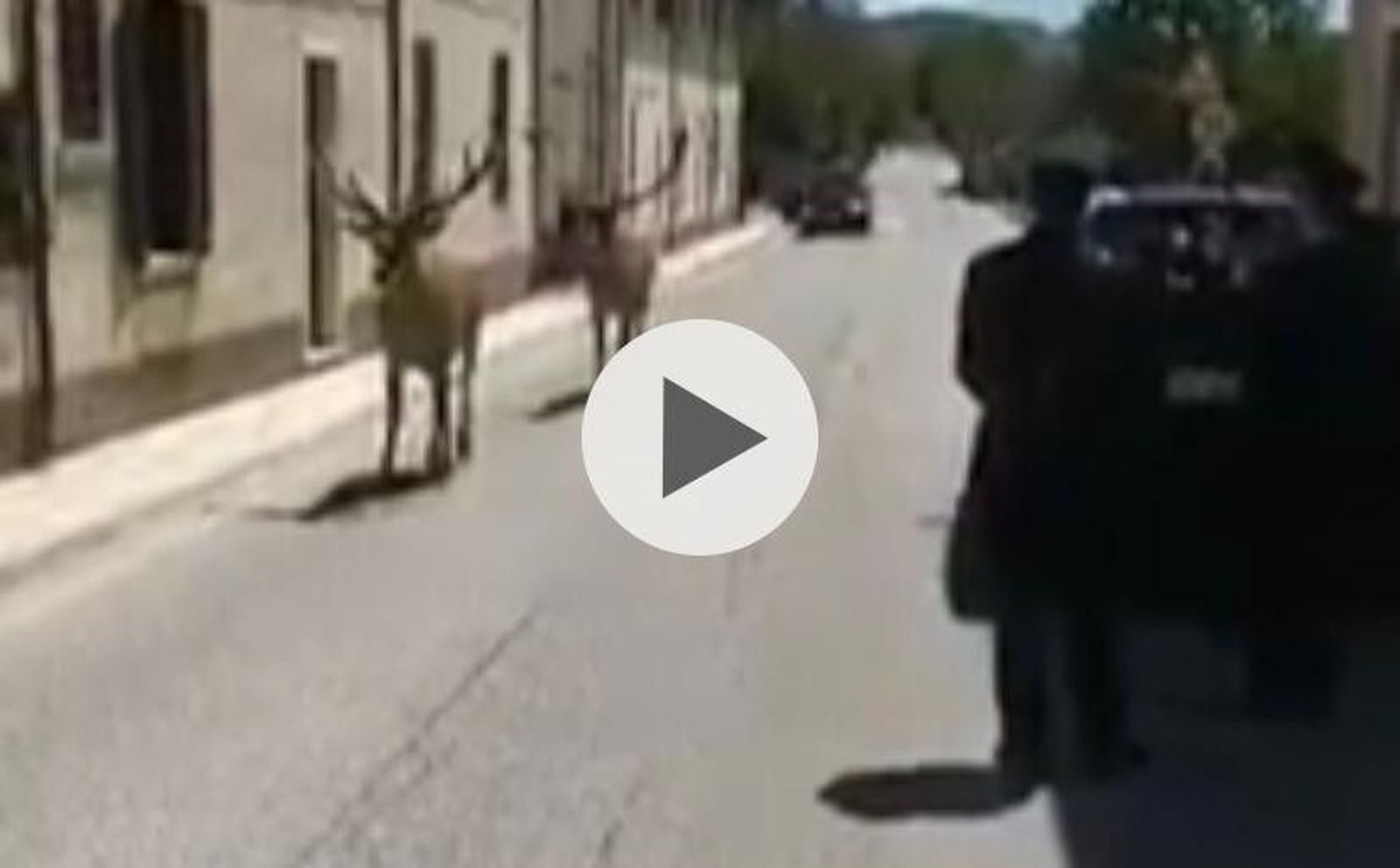 WhatsApp Image 2020 04 07 at 16.50.08