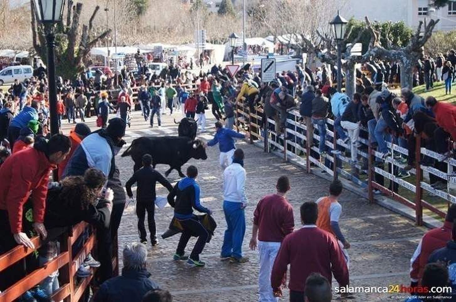 El Consistorio presentará alegaciones para un mayor reconocimiento del Carnaval