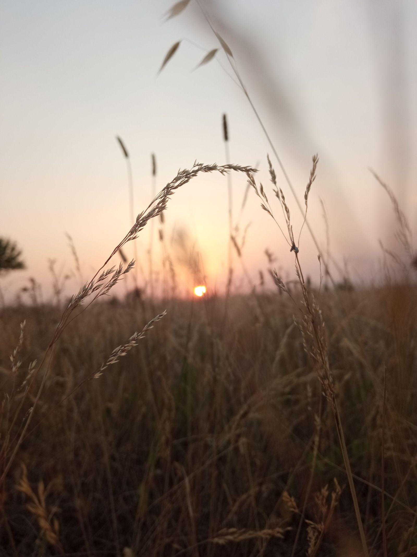 Atardecer. Mónica Fernández. Ganadora Infantil