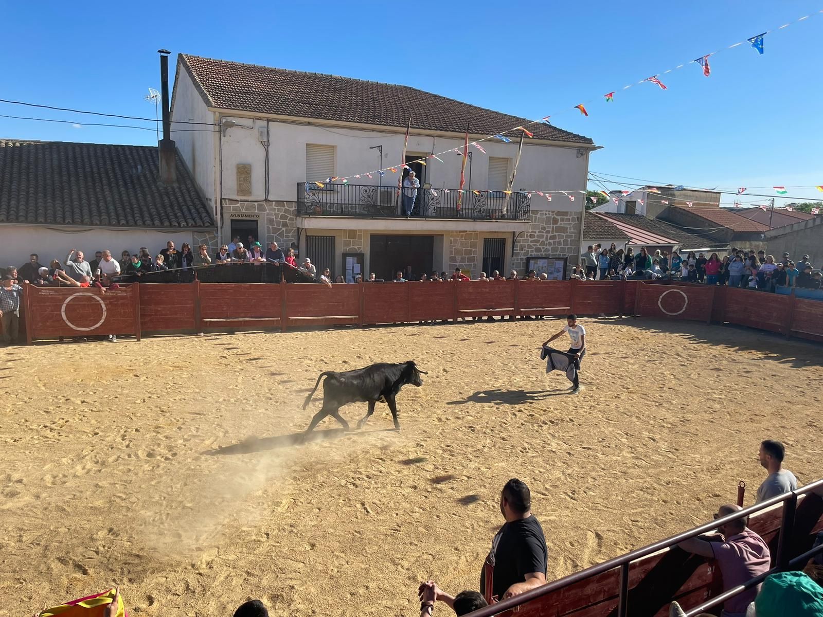 suelta-de-vaquillas-en-cabrillas-5
