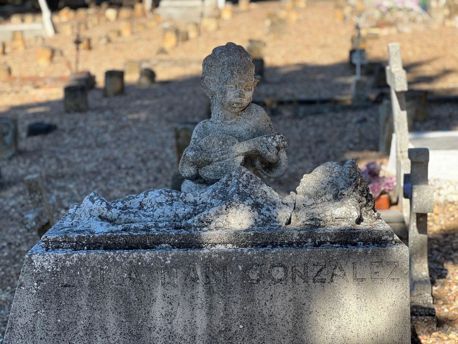 Visita guiada al cementerio de Salamanca