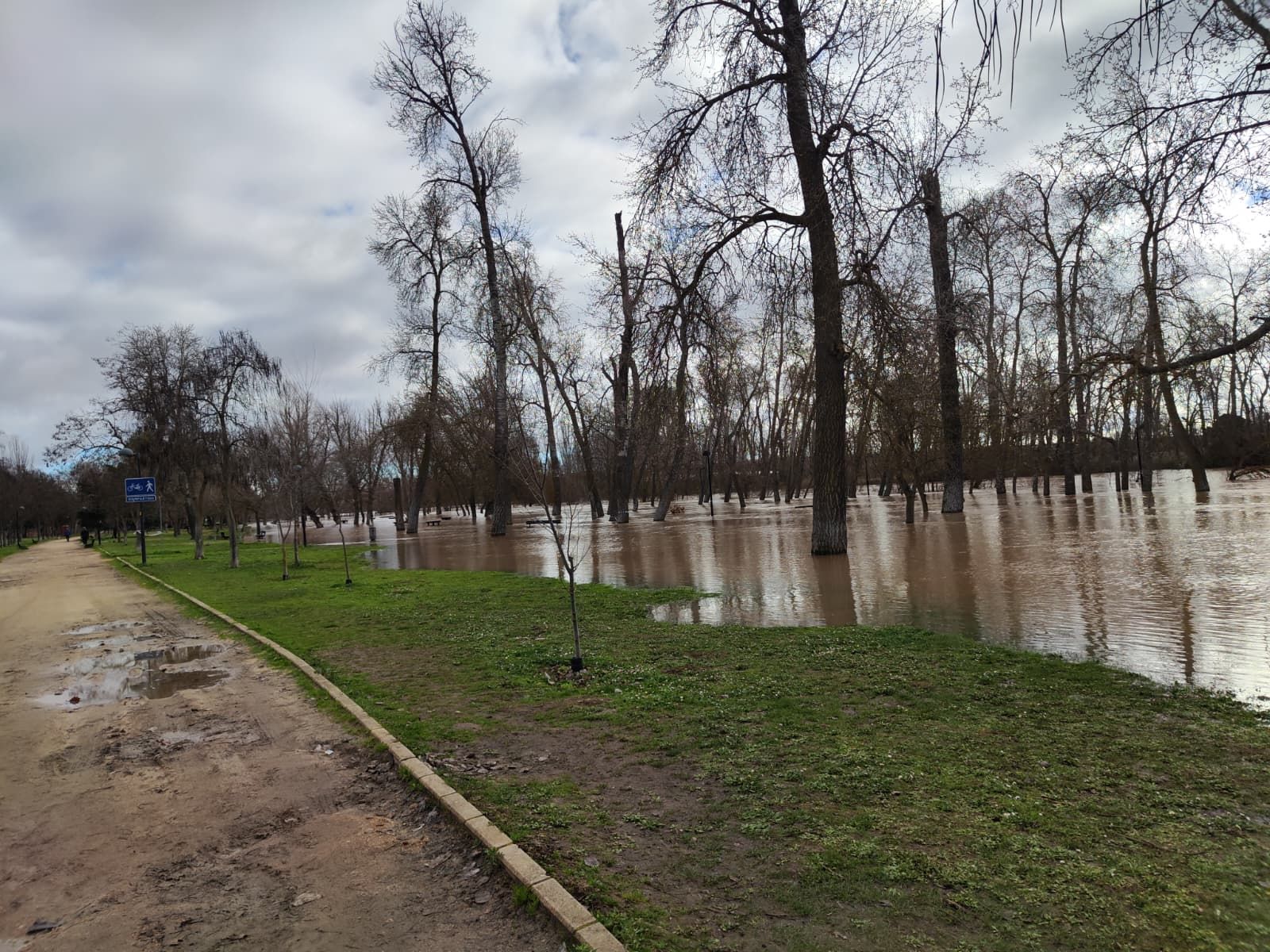 GALERÍA | Crecida del río Duero en Zamora este martes