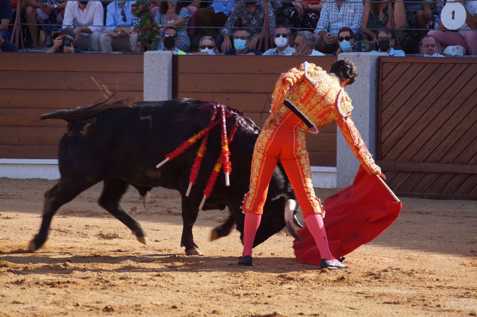 toros-en-guijuelo-15-de-agosto-13