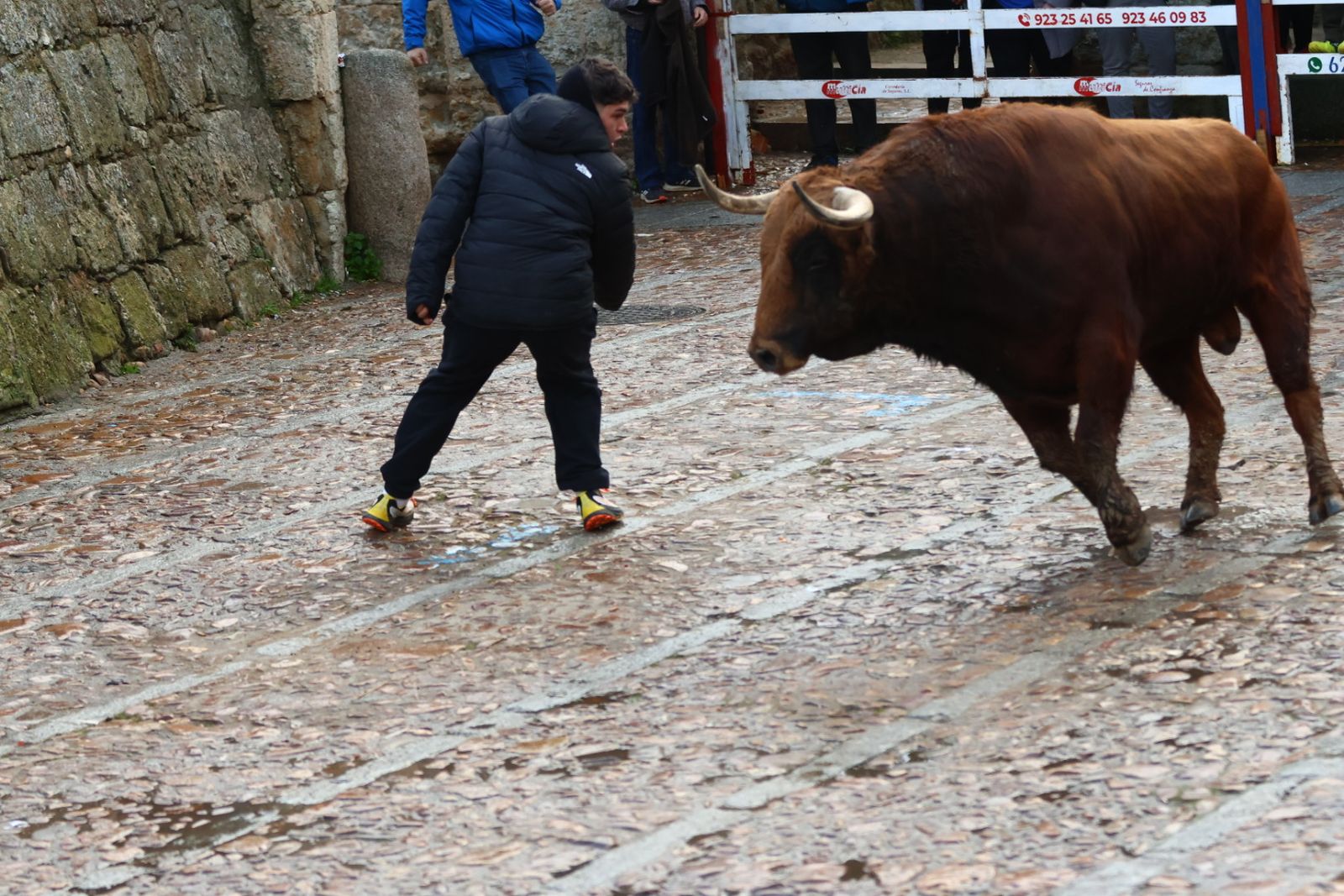 Toro del aguardiente en la mañana de martes del Carnaval del Toro 2026