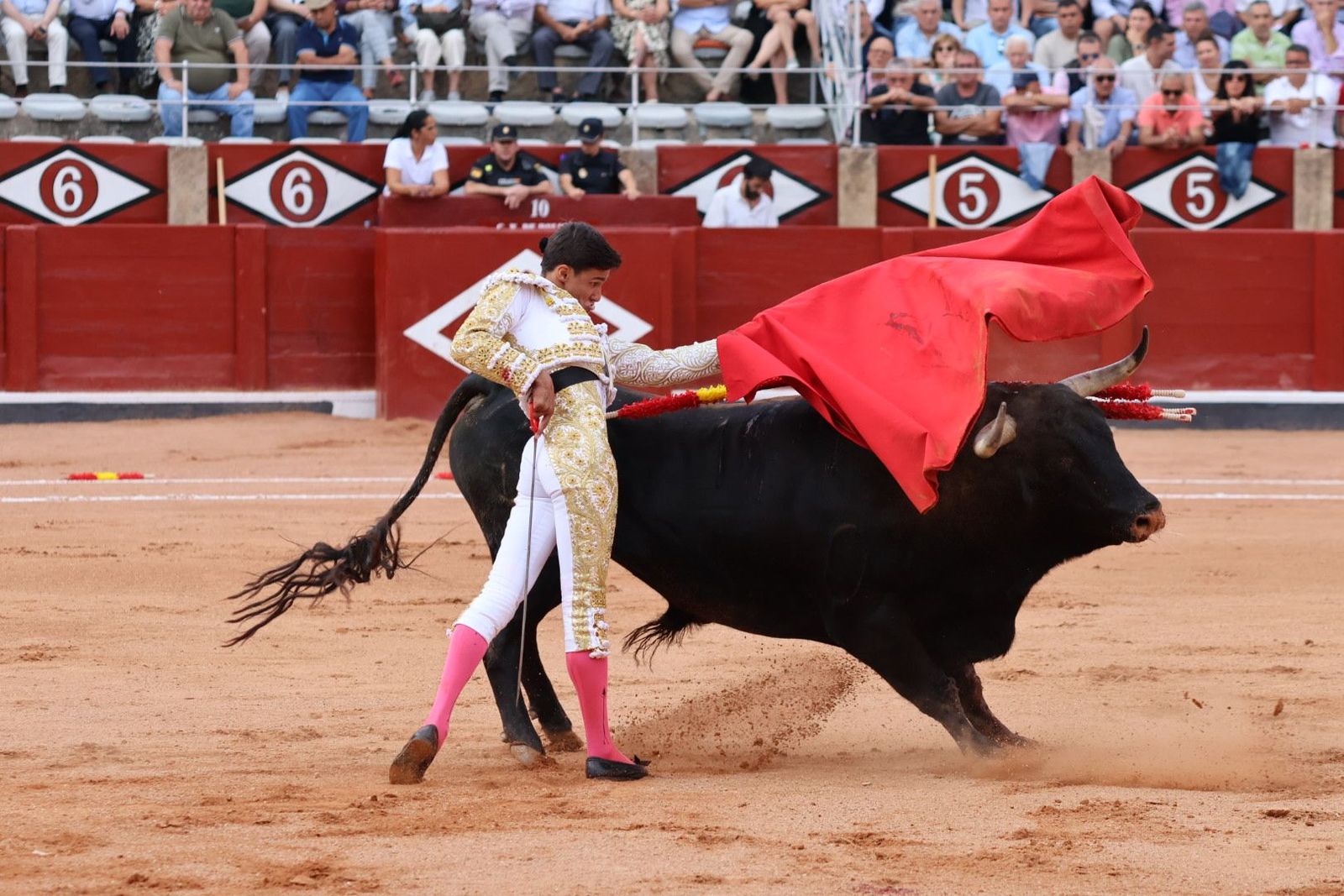 20230910180507-img-2022