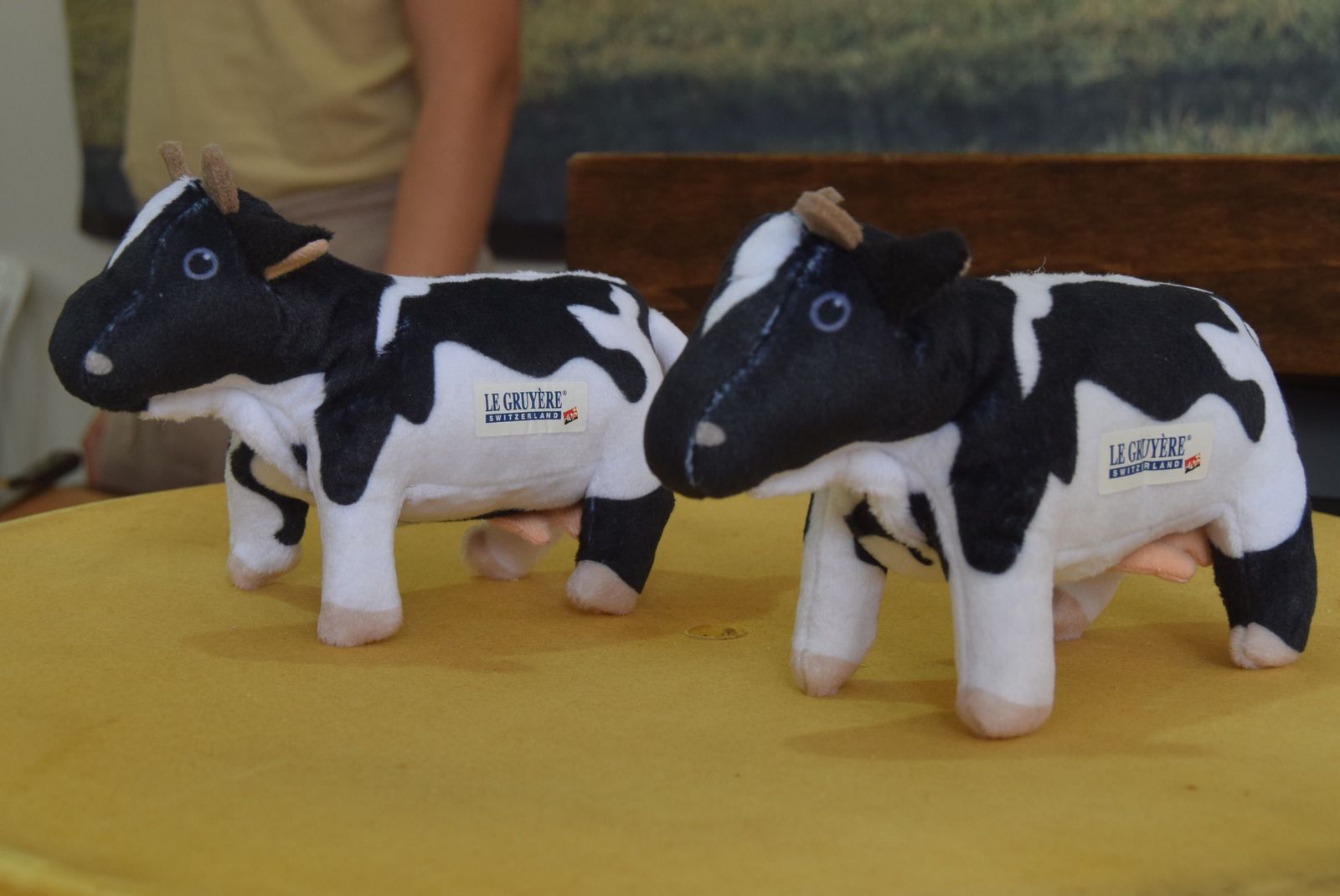 jornada-inaugural-de-fromago-194