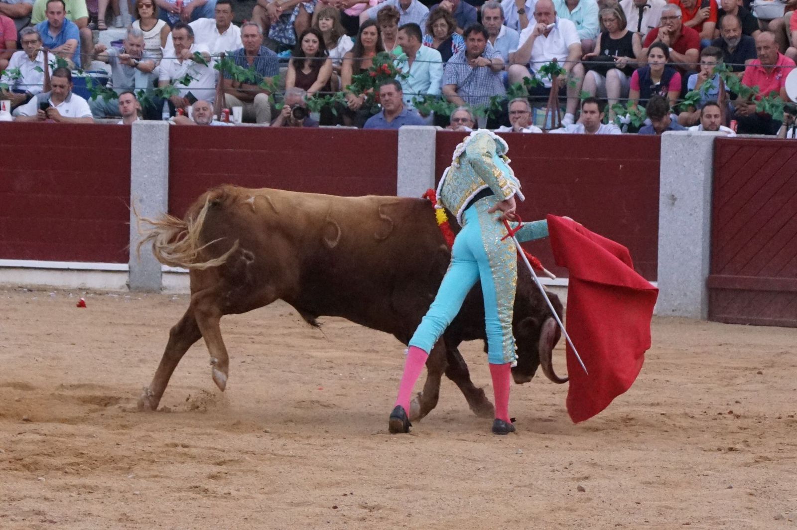 corrida-rejones-guijuelo-25