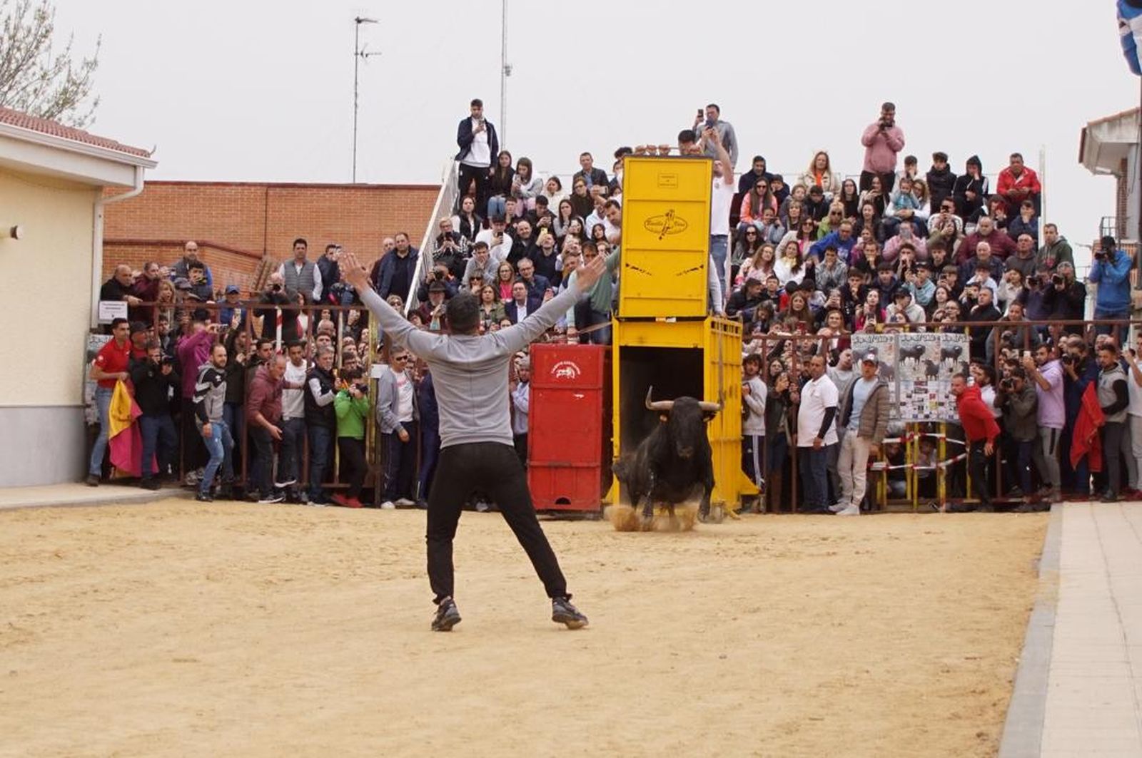 Toro del Voto en Villoria, suelta de dos toros del cajón. Foto Juanes
