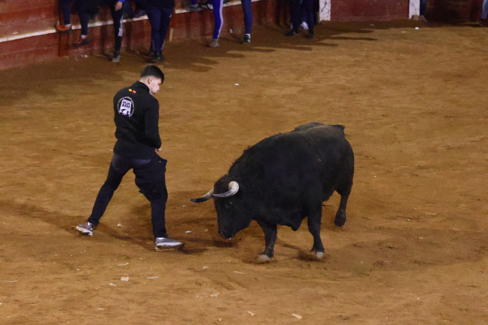 Capea nocturna de lunes en el Carnaval del Toro 2026