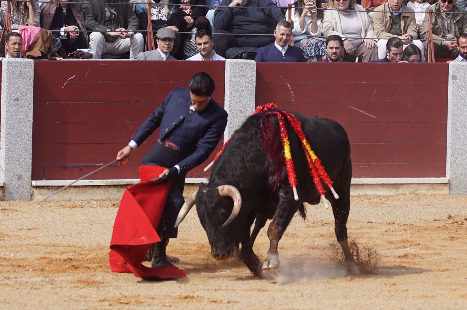 Festival taurino solidario por la esclerosis múltiple en Guijuelo