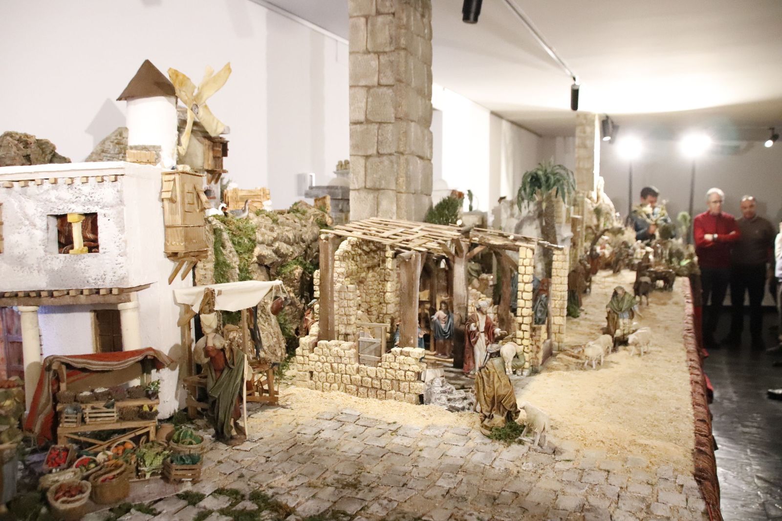 20221201130723-mg-4668