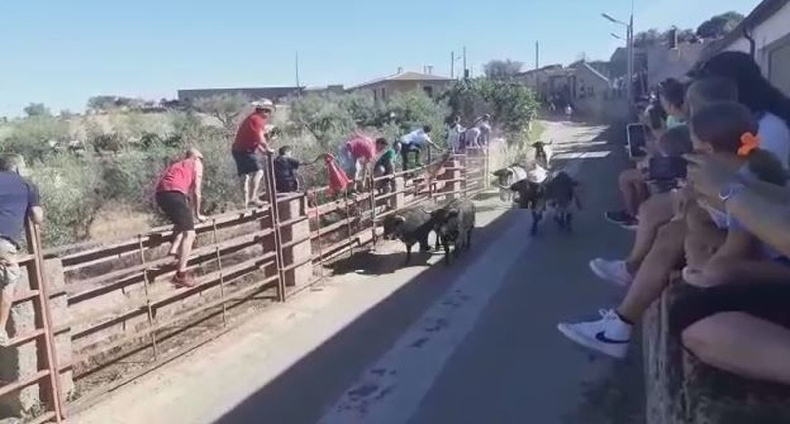 Fermoselle Encierro Lunes