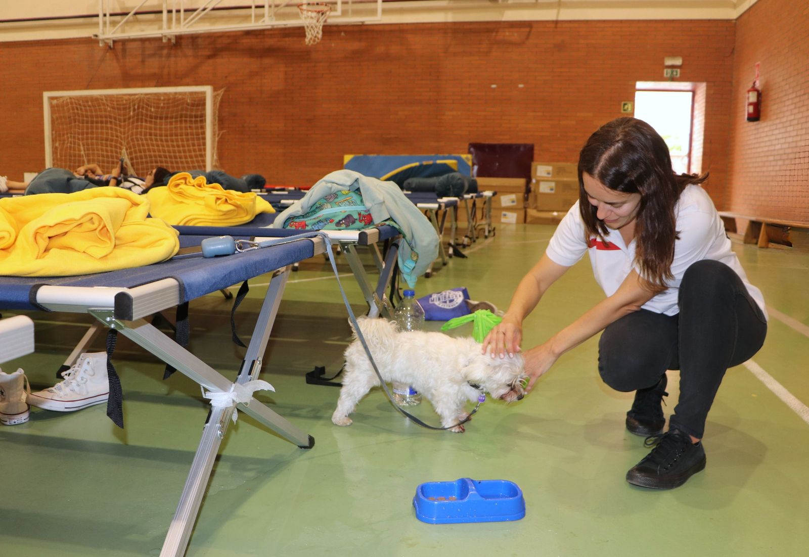 Imagen del operativo de Cruz Roja