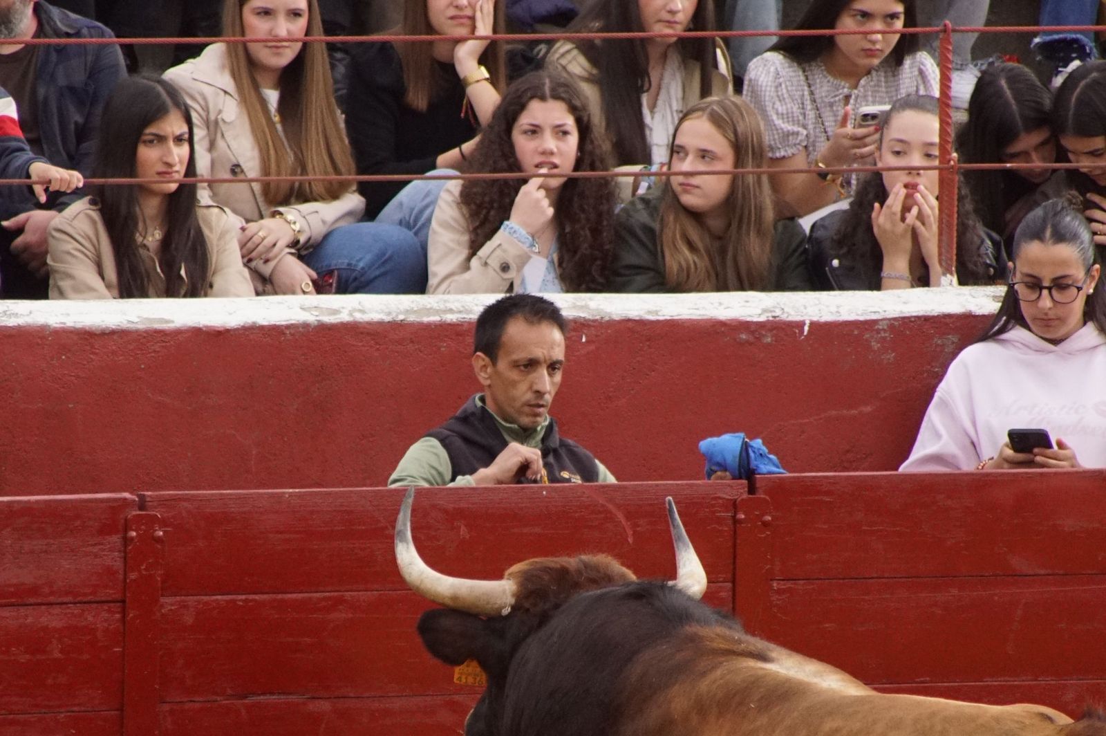 Villoria, toro del Voto