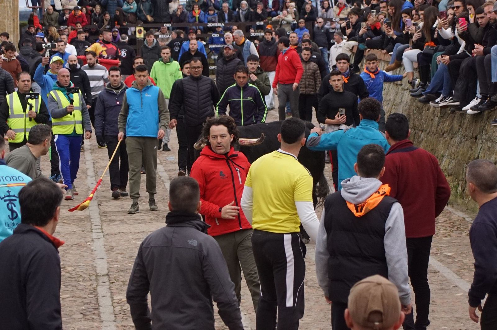 El encierro de Lunes de Carnaval en Ciudad Rodrigo en imágenes