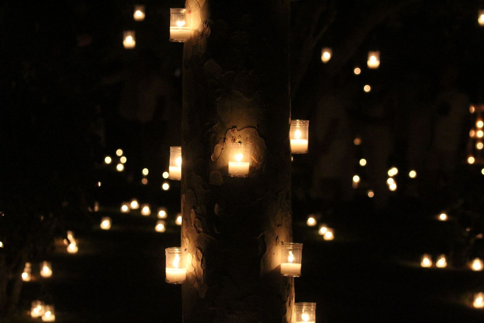 La ‘Noche en Vela’, una cita para disfrutar visualmente también a través de estas imágenes