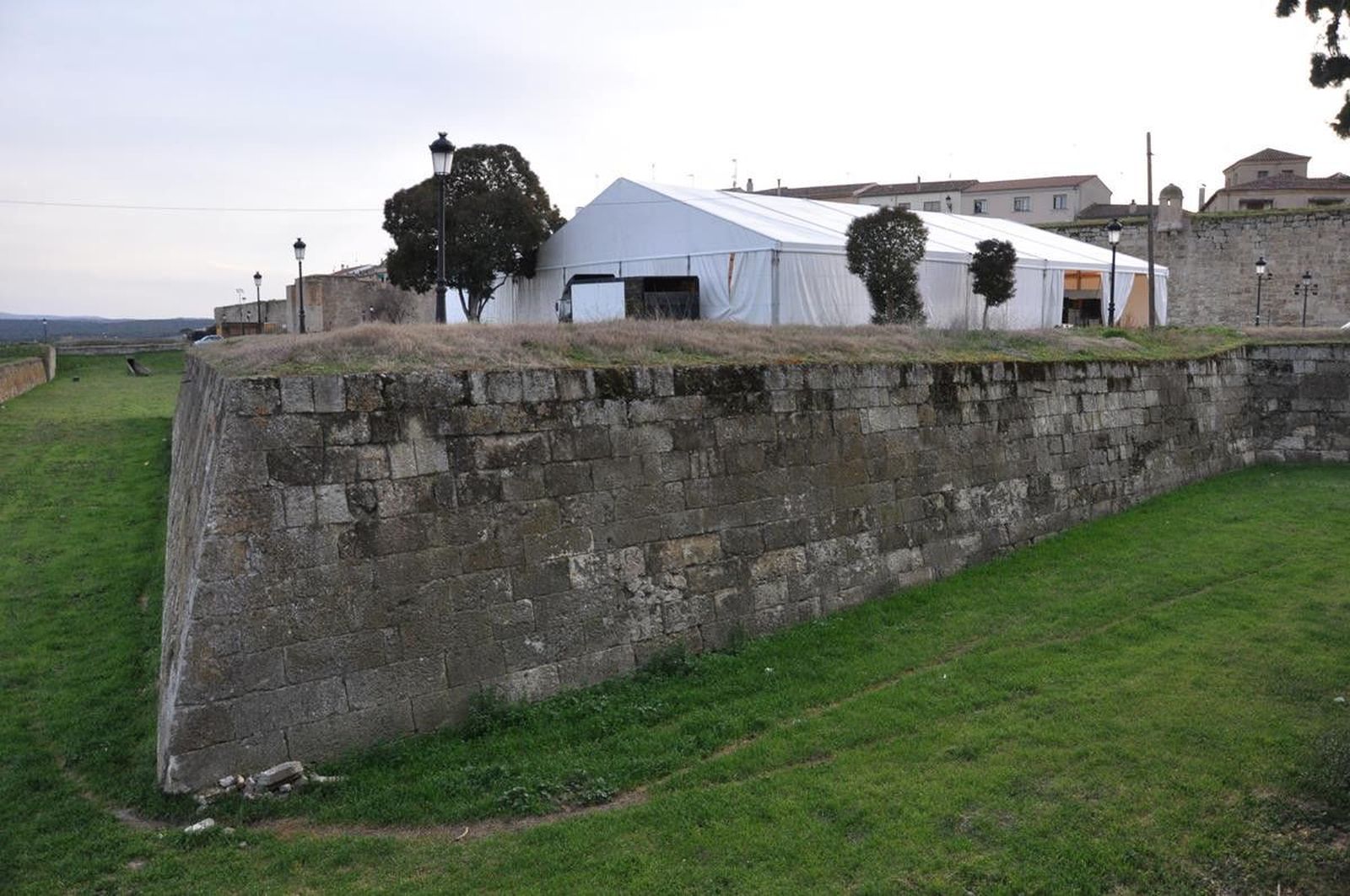 Ciudad Rodrigo Carnaval del Toro 2019 (1)