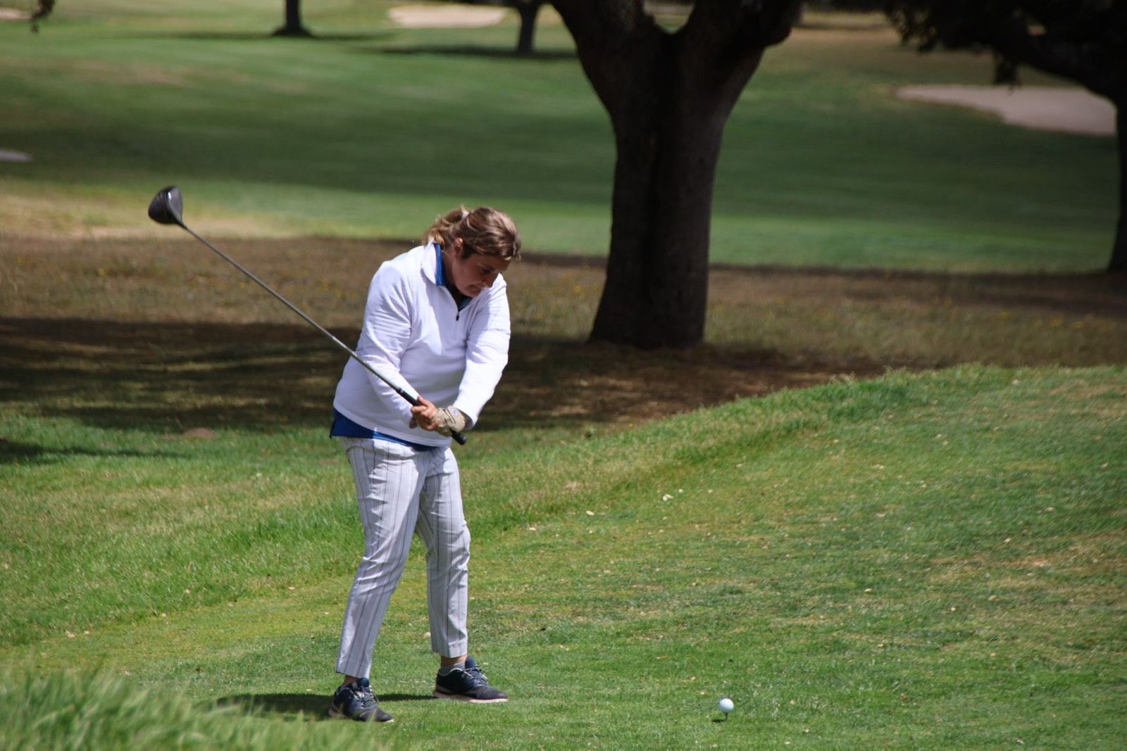 20230504132141-img-1365