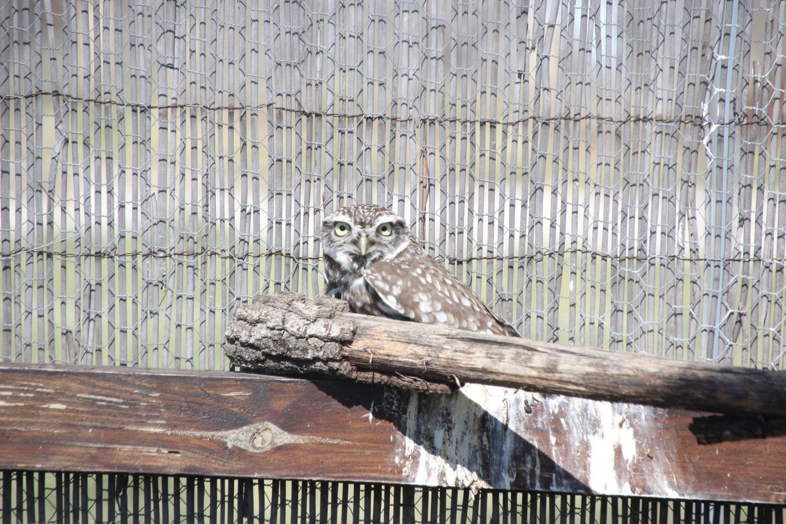 20230304153032-img-1696