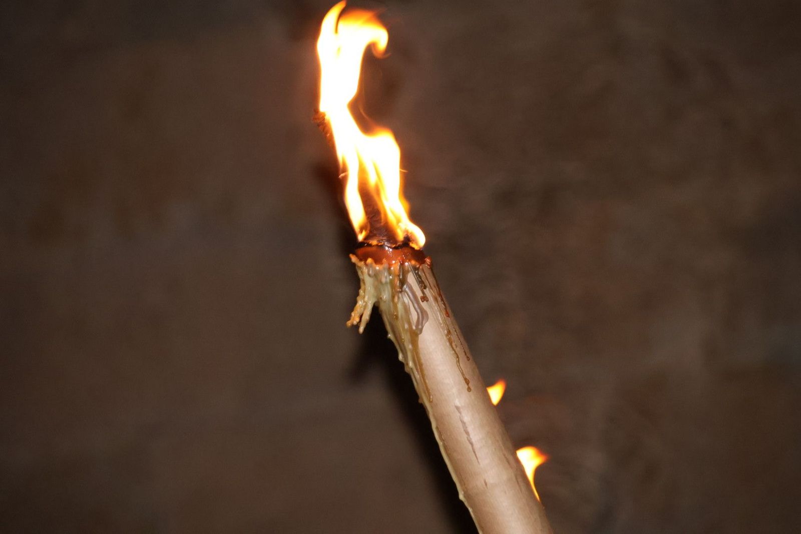 20230401212412-img-9209