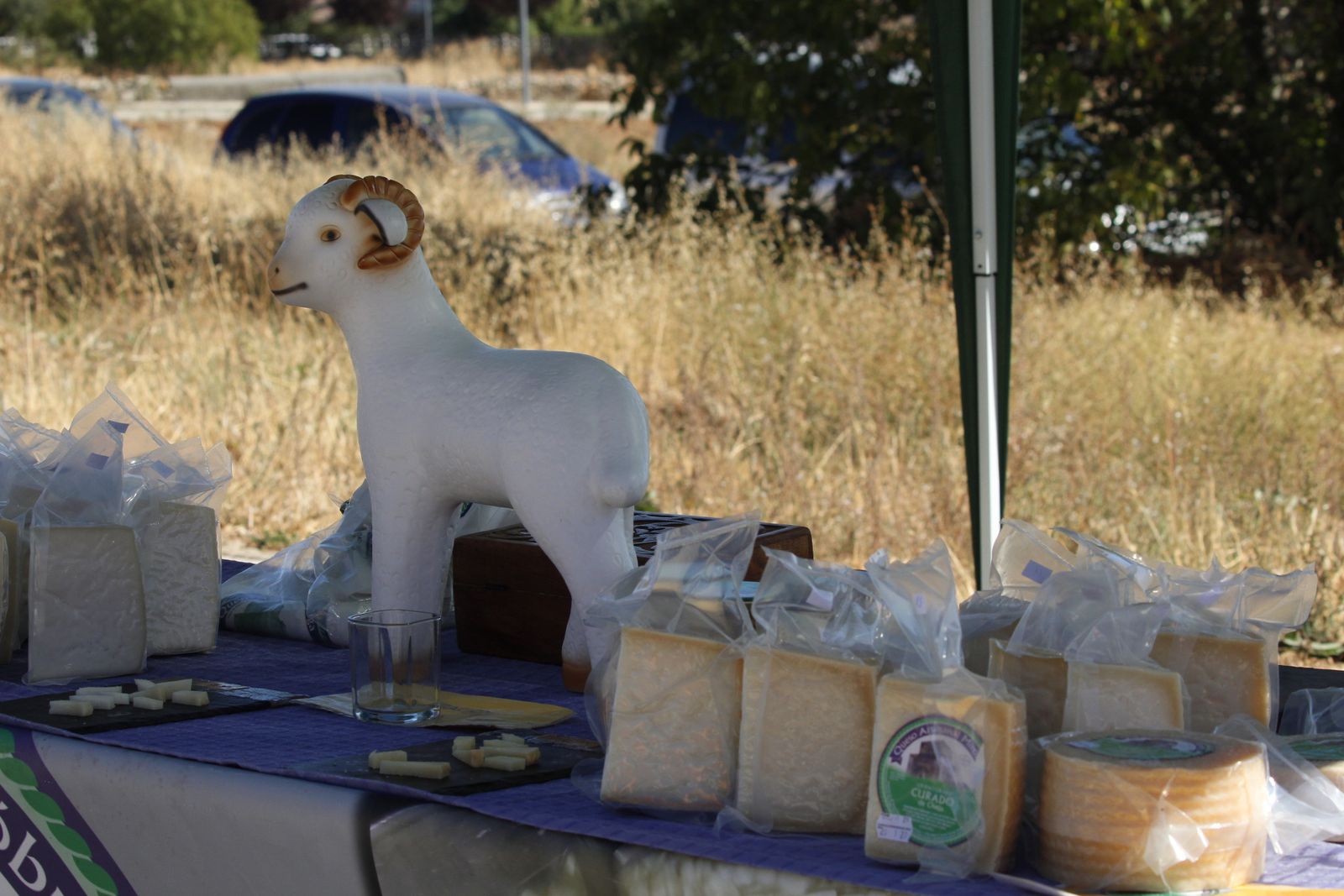 Vísperas nupciales apertura mercado en Aldeatejada