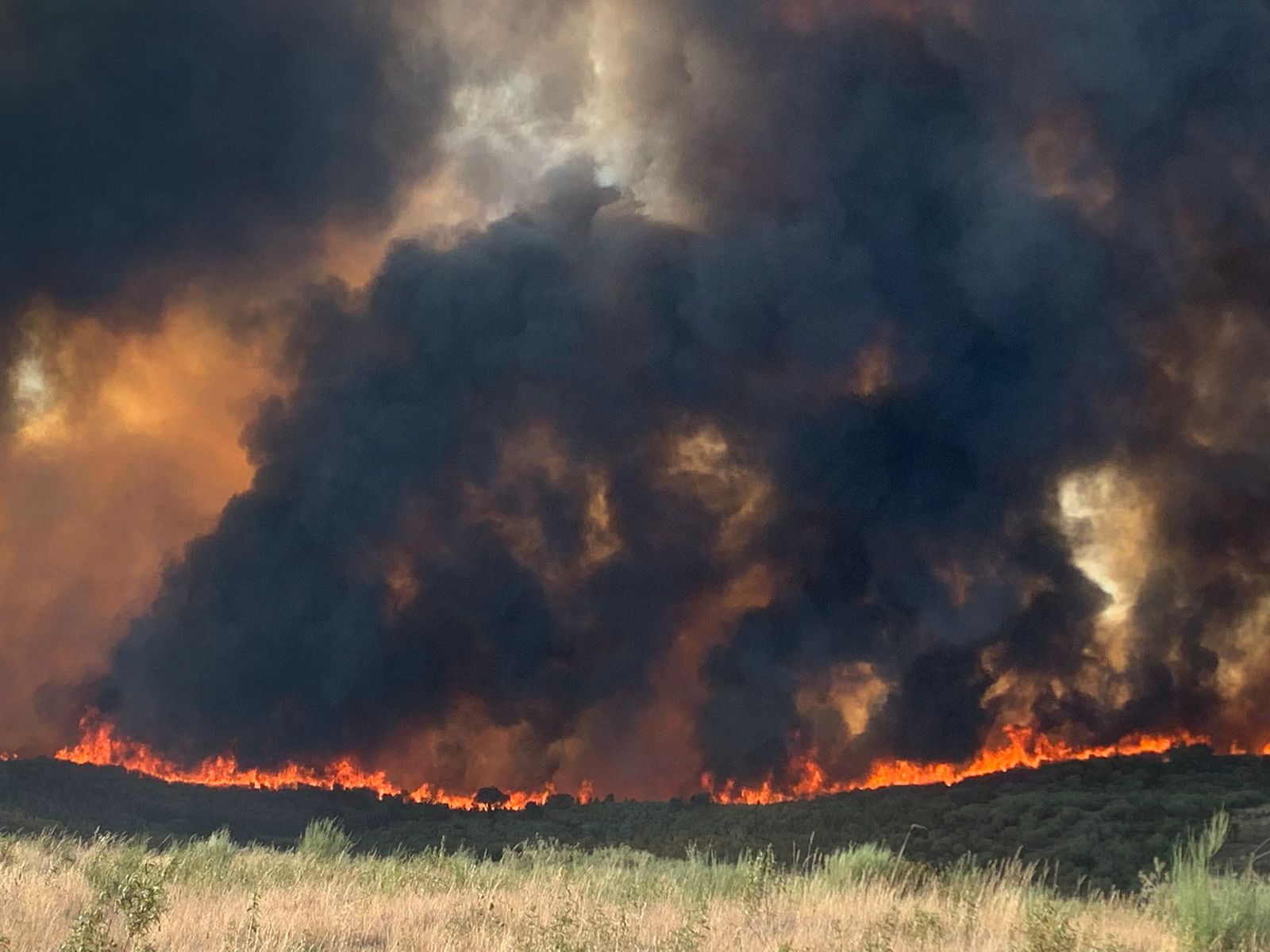 Incendio de Vegalatrave en el término de Losacio