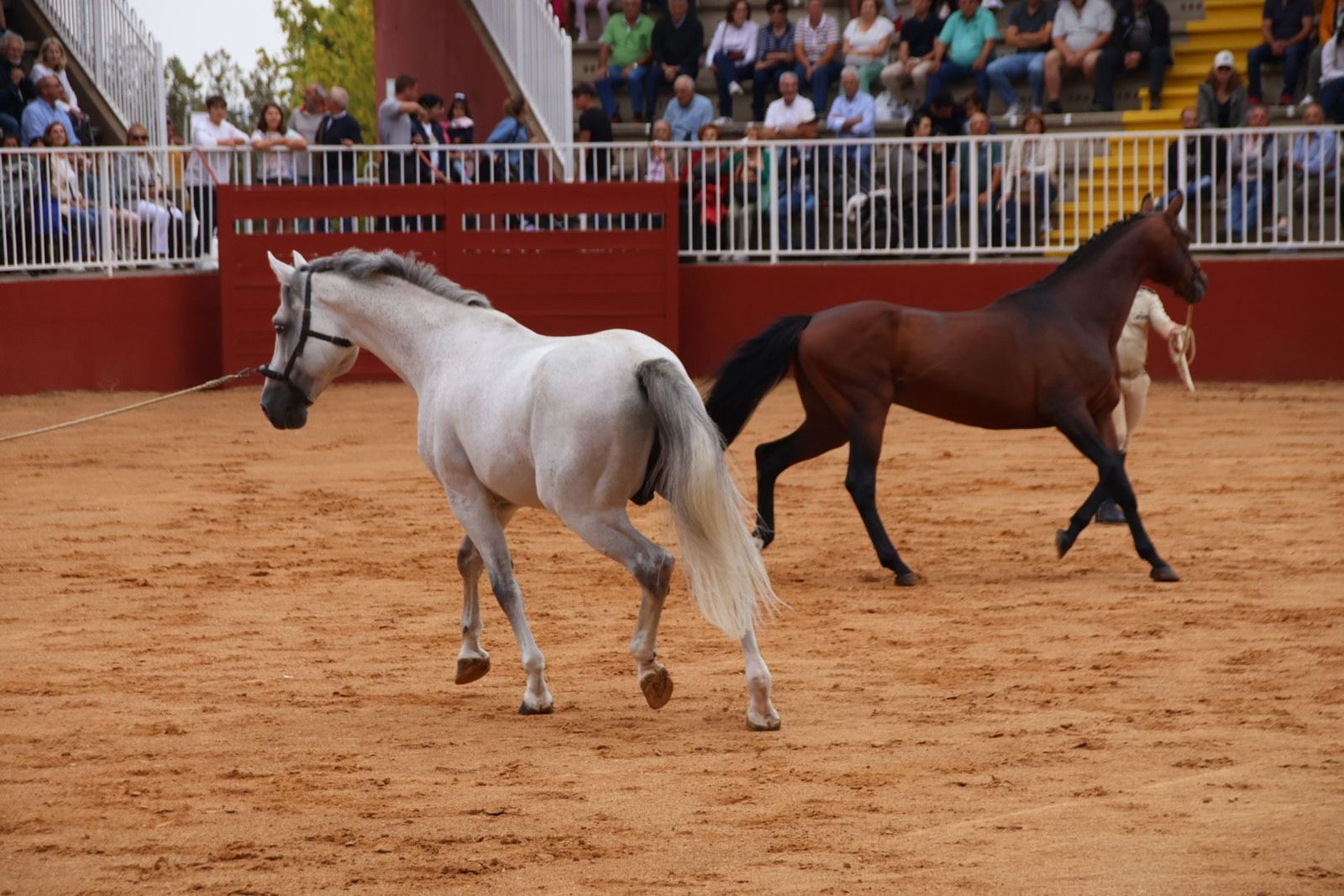 20230902111811-img-7077